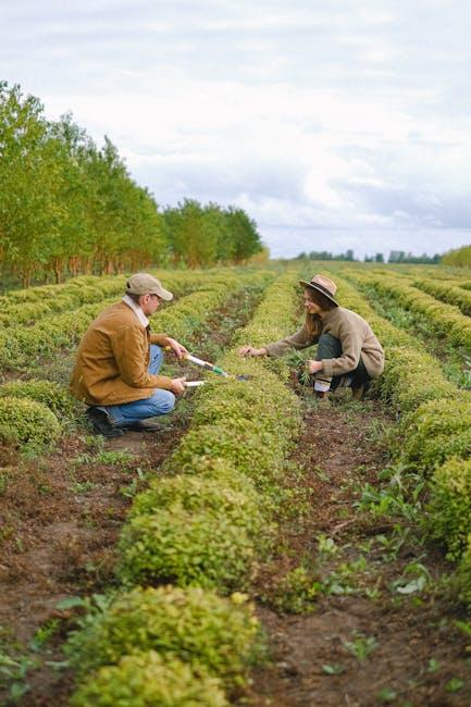 Setting Up⁣ Your Farm for ‌Teamwork Bliss