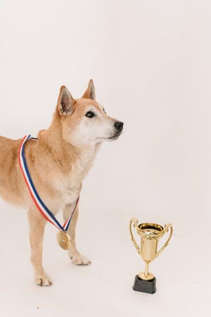 Celebrating Small Wins: The Secret to Sustained Motivation