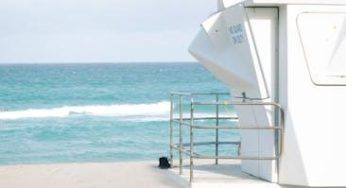 Unlocking Oceans: What Marine Biologists Really Do