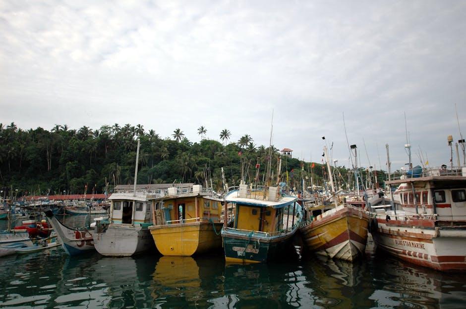 Kiaras Community: A Vibrant Hub for Connection and Fun