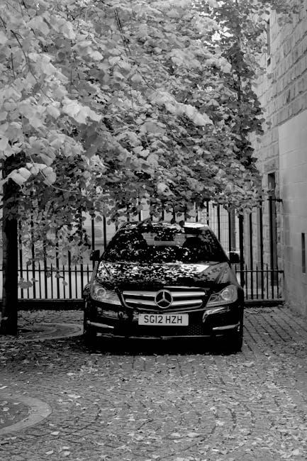 Taking Control: Tips for Future-Proofing Your YouTube Privacy