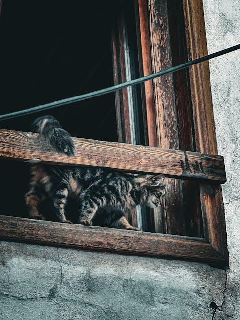 Viewer Pet Peeves: Common ⁣Traits that‍ Drive Us Up⁢ the Wall