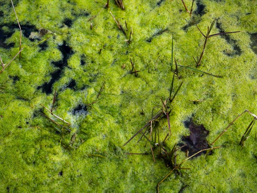 Crafting ⁤Engaging Stream Titles and Thumbnails That Draw Viewers In