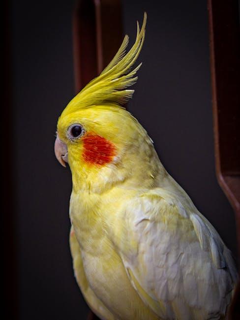 Behind​ the ⁣Fluff:​ Understanding ‍the‍ Psychology of Parrots in Performance