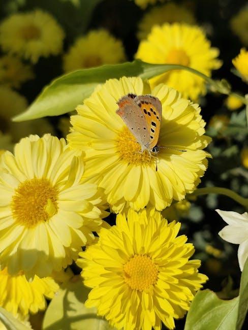 Exploring the Rise of Daisy Duke: From Small-Town Charm to Internet Fame