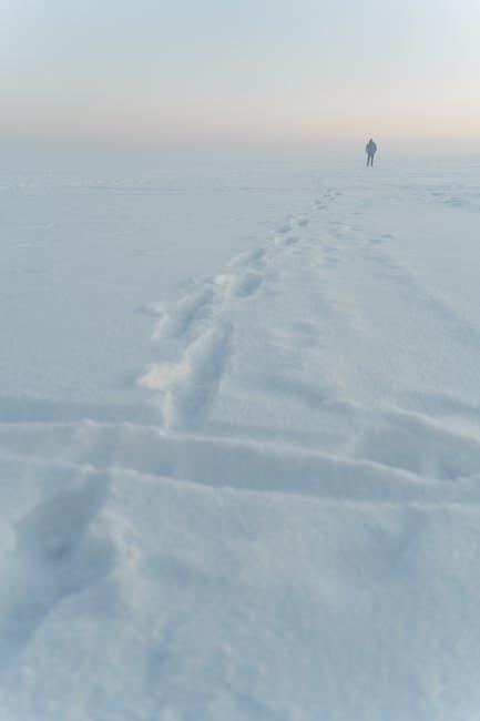 The Step-by-Step Process to Clear Your Footprints
