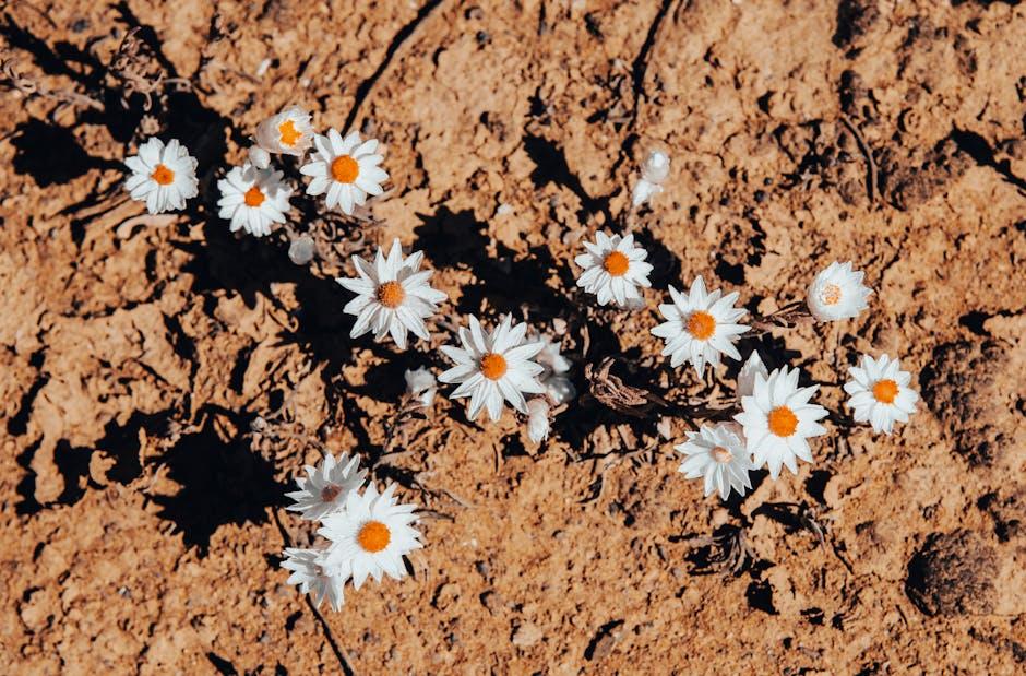 Unpacking Themes of Resilience and Hope in a Simple Tale