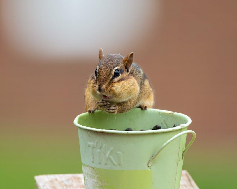 Cultivating ⁤a Culture ‍of⁣ Respectful Humor:‌ Steps Forward for Comedians‌ and‌ Audiences