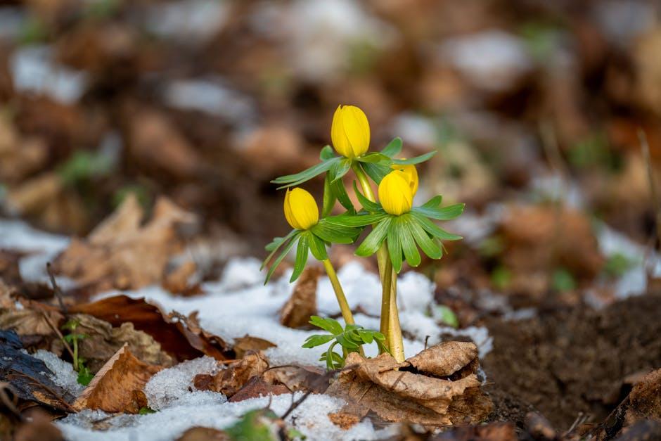 Exploring the​ Heart ​of‌ Resilience in a Timeless Tale