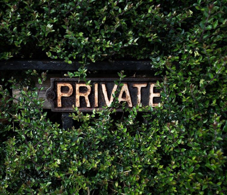 Protecting⁢ Your Privacy: Tips for ⁤Adjusting Settings and Deleting‌ Accounts