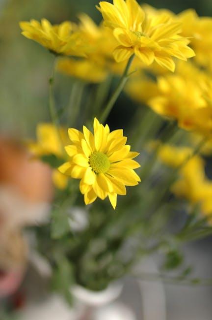 Behind the Screen: Daisy Duke’s Impact on Youth Culture and Trends