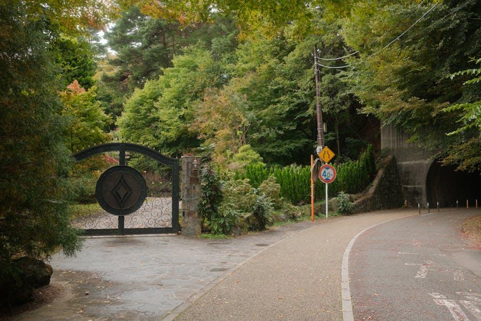 Unlocking Full Potential: What You Miss Out On Without an Account