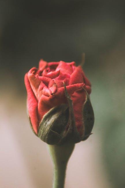 Creativity Overload: How Emerging Creators are Redefining the Platform