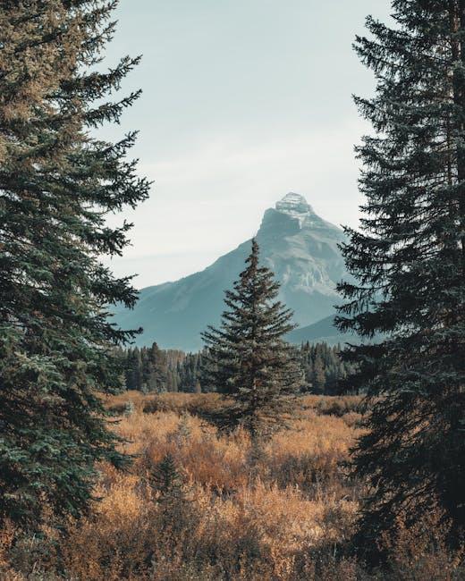 The Relationship Between Views and Revenue: What You Should ‍Know