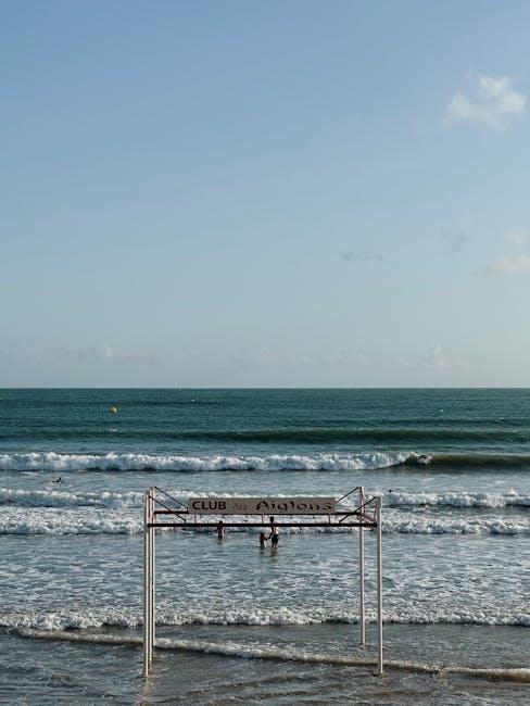 Exploring Whitney ⁣Webbs Digital Footprint ⁤on ⁤YouTube