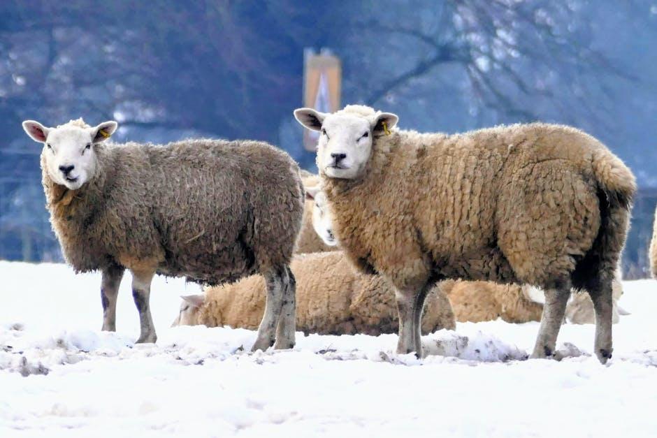 Get Started with Your Google Account on YouTube