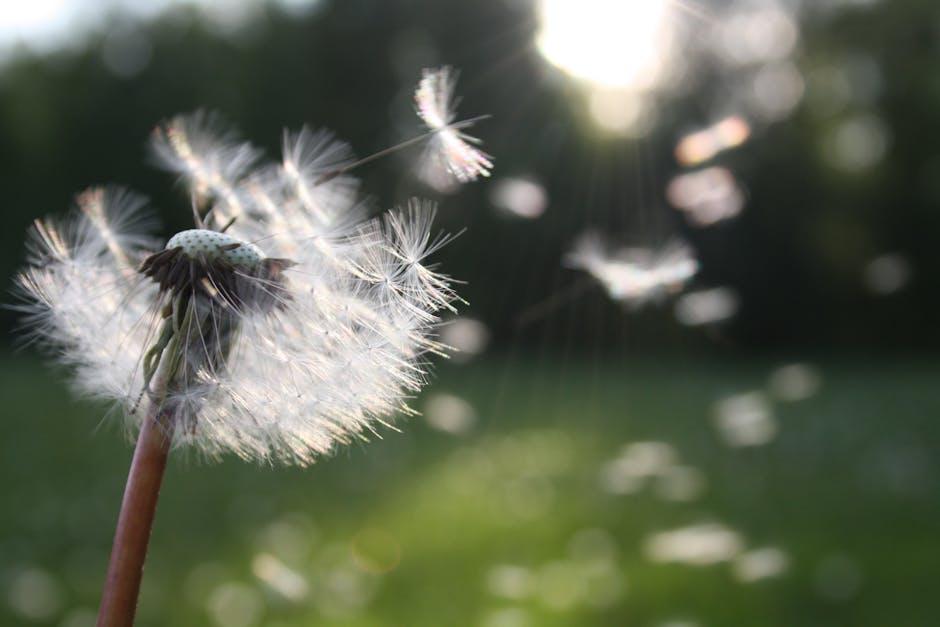 Rediscovering Freedom: ⁤Lessons from Her ‌Journey Away⁤ from Screens