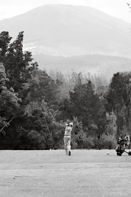 Maximizing Your Subscription: How to Get the Best of Both Worlds