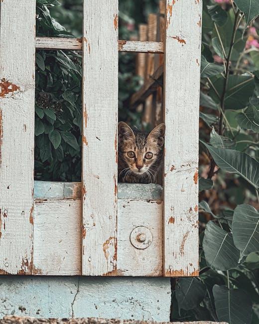 Hidden Fees and Surprises: ‌What to⁤ Watch Out For
