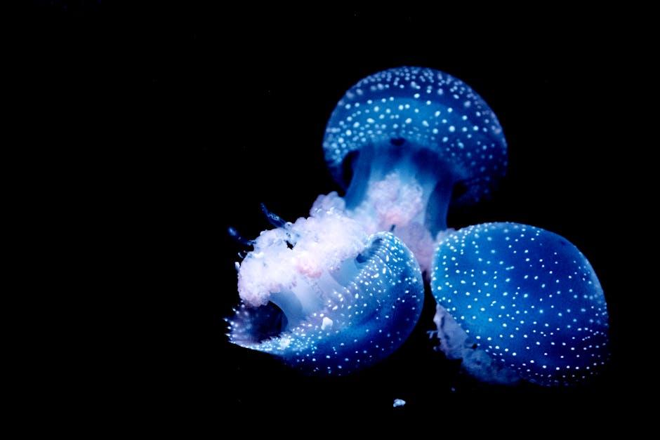 Keeping It⁢ Organized: Tips to‌ Manage and Access Your Downloads Effortlessly