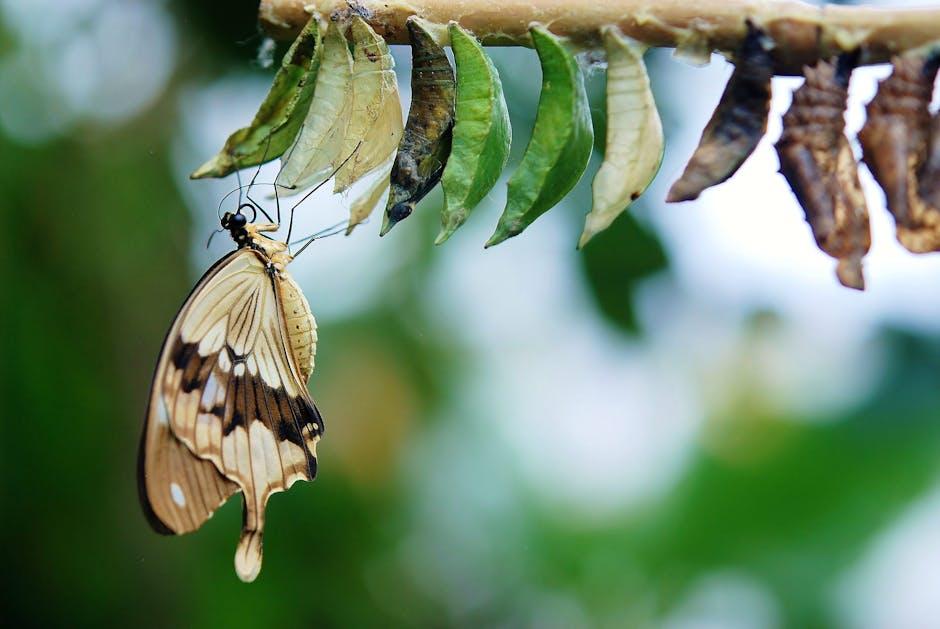 Transforming Your Environment for Focus: Simple Tweaks That Work