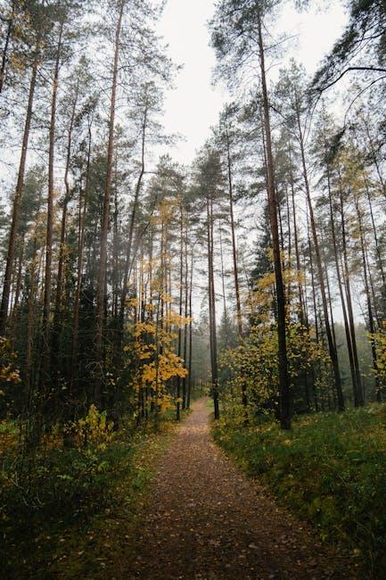 Tips ‌for Clearing Cache⁢ and Cookies ‍to‍ Restore Functionality