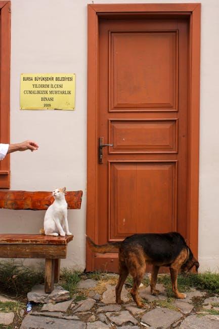 Building‍ Your Community: Strategies for Growing Your Subscriber Base