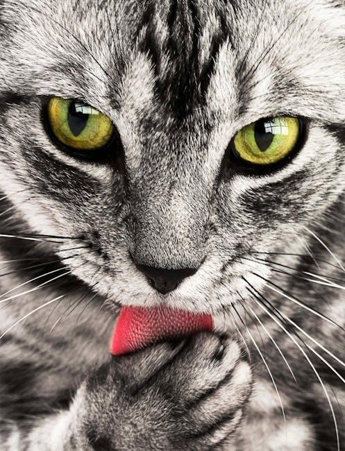 Beyond the⁢ Screen: Applying Anime Lessons to Real Life