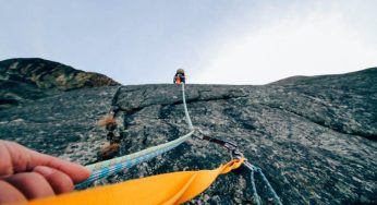 Seeking Support: The Heartfelt Call of ‘Won’t You Please Help Me?