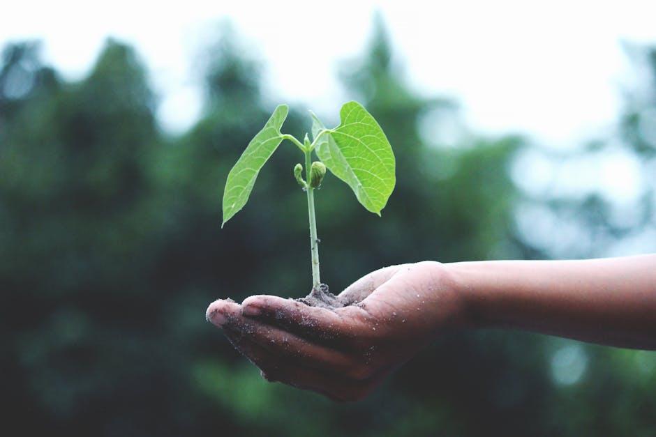 Practical Ways to Extend Your Helping ⁤Hand