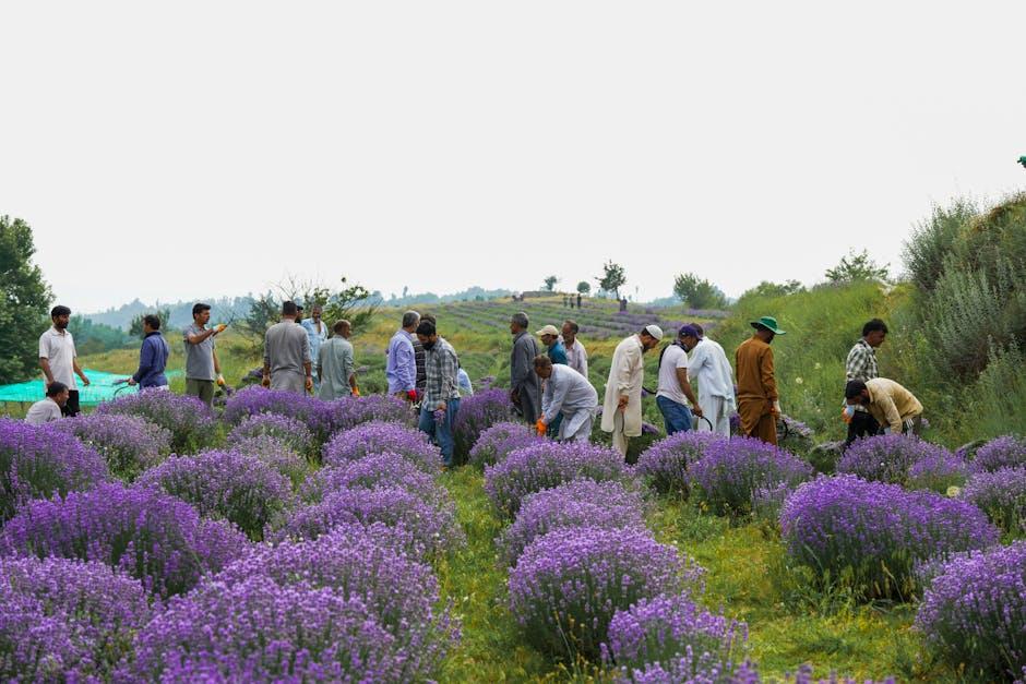 Fragrance ​Communities ⁢and Connections:⁢ Building Your Scented Tribe