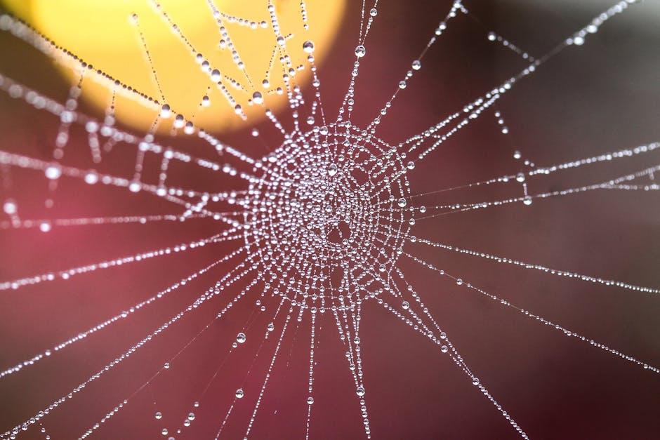 Breaking Down‌ Barriers: The Power of Connection Over Conflict