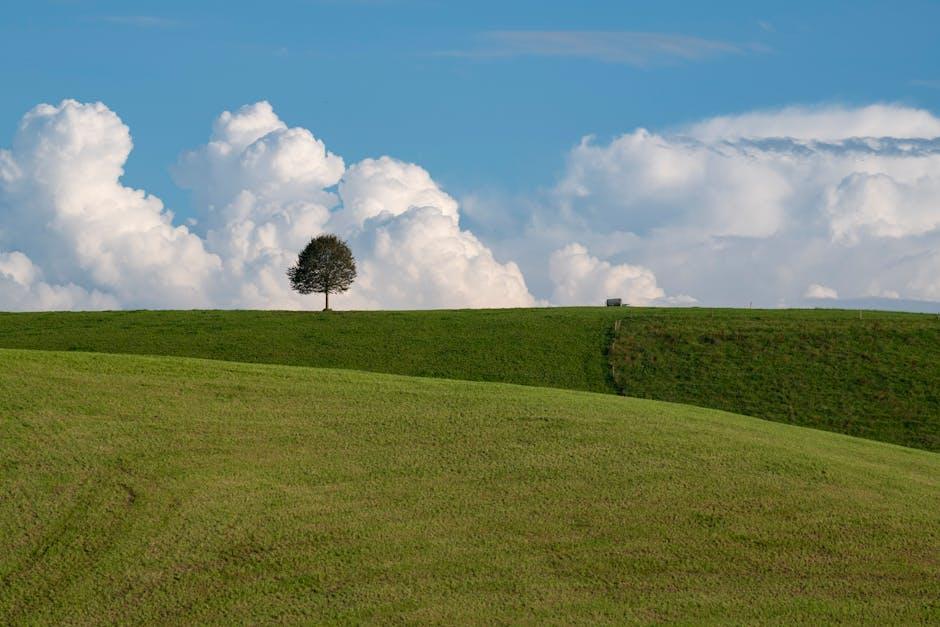 Choosing the Right Environment: Creating a Sound-Friendly ⁢Space