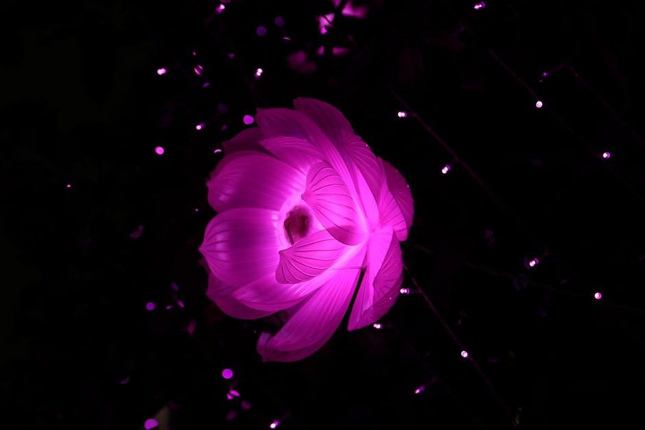 Creating ‍Captivating Visuals: Harnessing Effects and Graphics Like⁣ a Pro