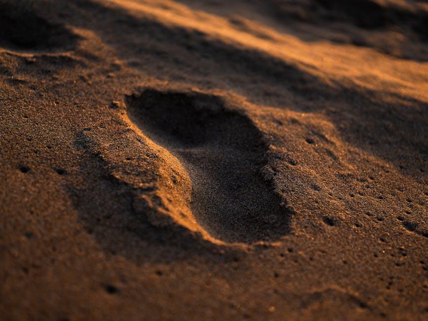 Stepping into Control: How to Effectively Erase Your Search Footprint