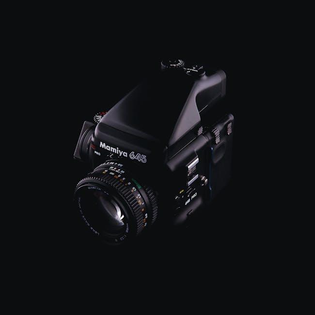 Diving‌ into⁣ Your Zoom Cloud: ⁤Where ⁢to Find Your Recordings