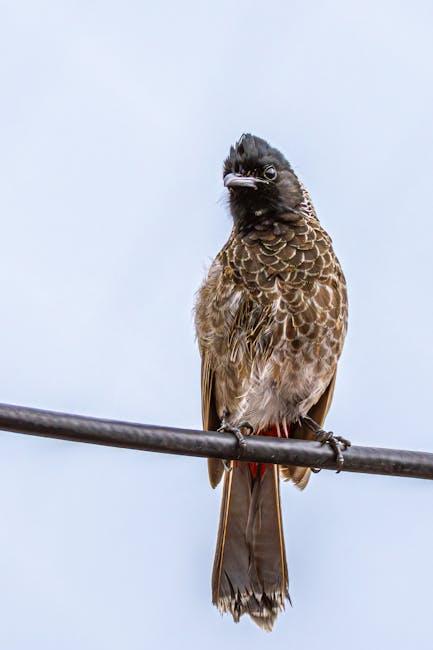 Engaging Viewers with Call-to-Actions that ⁢Convert