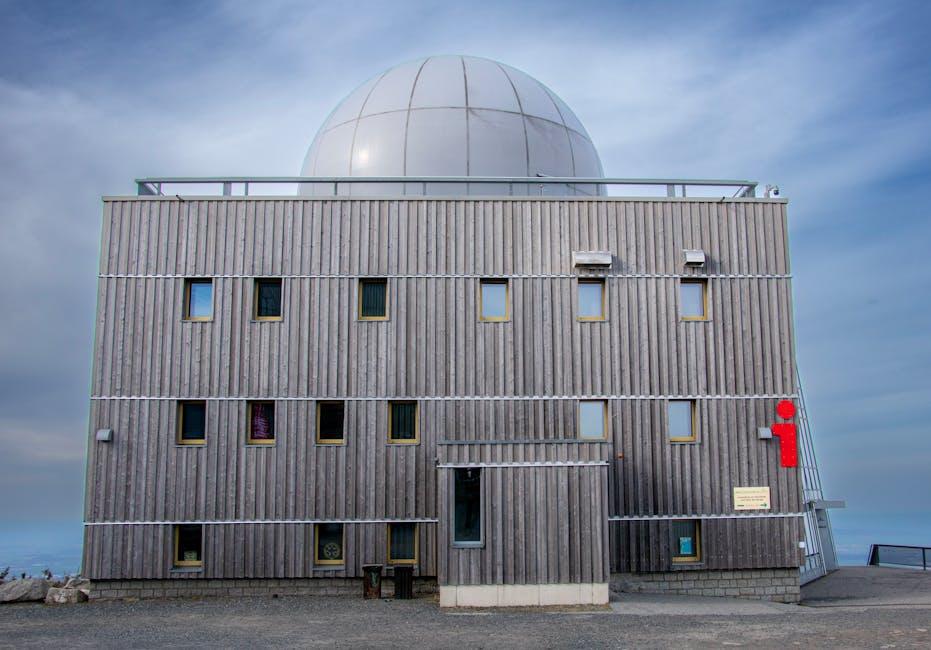 Getting Ahead: Tips for Aspiring Creators Inspired by Brocks Journey