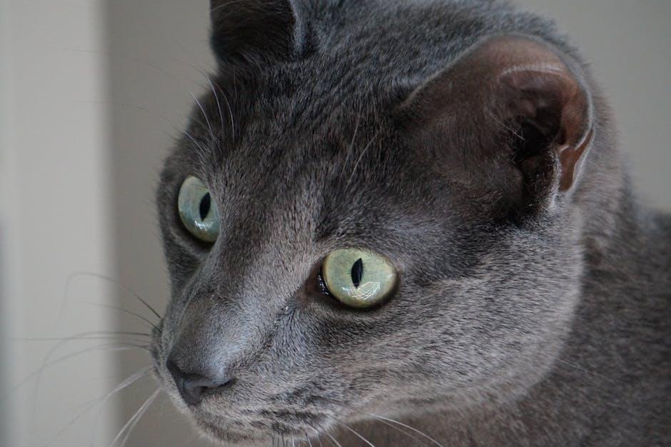 Crafting the Perfect Companion: Essential Strategies for Pet Customization