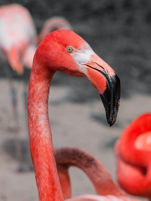 Why Flamingo’s Whimsical Charm Captivates His Fans