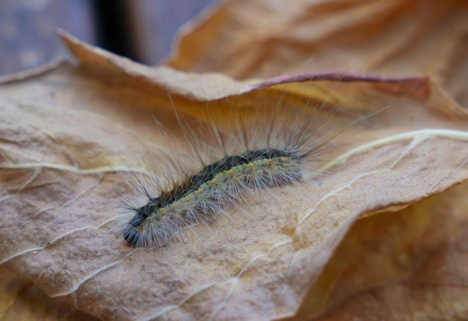 Building Your‌ Audience: Strategies to Grow Your Live Viewership