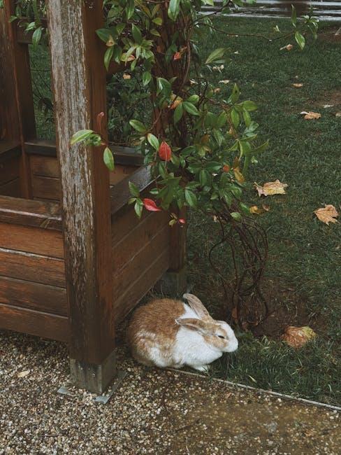 Discovering Hidden​ Settings for a​ Seamless ​Browsing Experience