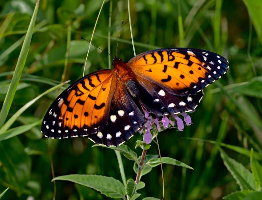 Tips and Tricks to Ensure Your Screen Door ‌Flies⁤ Open and Closed with Ease