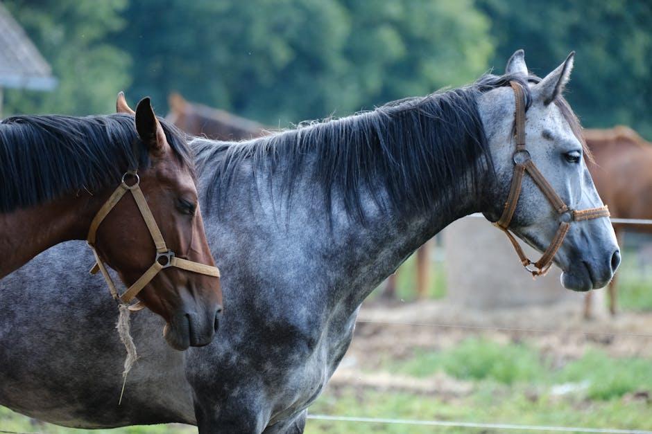 The Evolution of Two McUh: From Humble Beginnings to Influential Creator