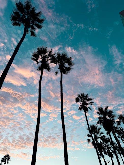 Understanding the Costs: Breaking ⁢Down NFL Sunday Ticket Pricing on ⁤YouTube