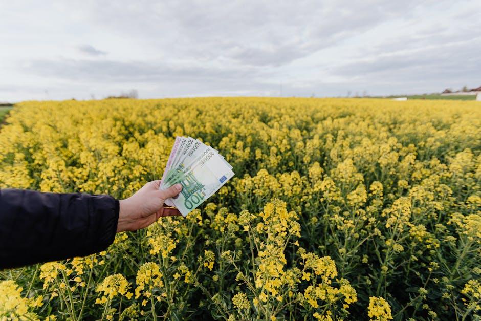 Building Sustainable Income: ‌Beyond ⁢Just ⁤Ad Dollars