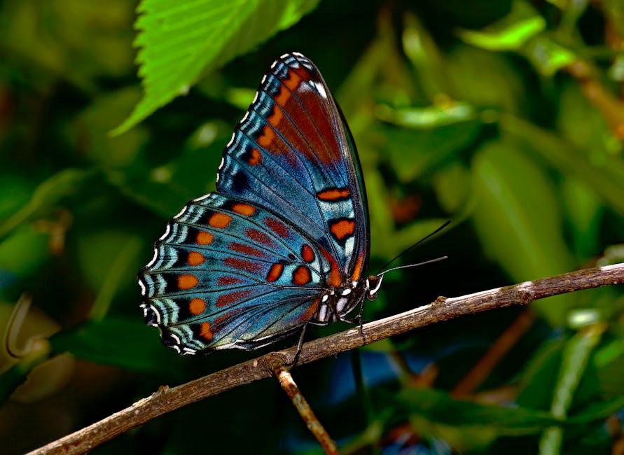 Step-by-Step Guide to⁣ Installing Butterfly Hinges Like a Pro