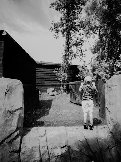 The ⁢Nostalgic ‍Charm of Me at the Zoo and Its Impact on Digital ⁣Culture