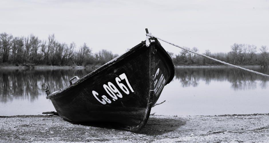 Evaluating Dr. Mandell’s Credentials and ⁣Expertise