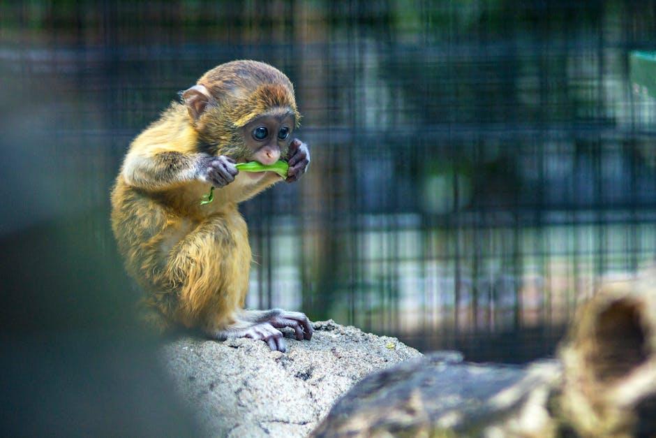 Tips for Parents on Nurturing Creativity Inspired by Baby Monkey Tina